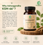 CALMROOT™ Capsules - Image 2
